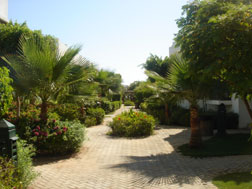 Photo of Garden