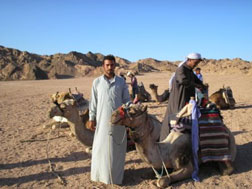 Photo of Men with Camels